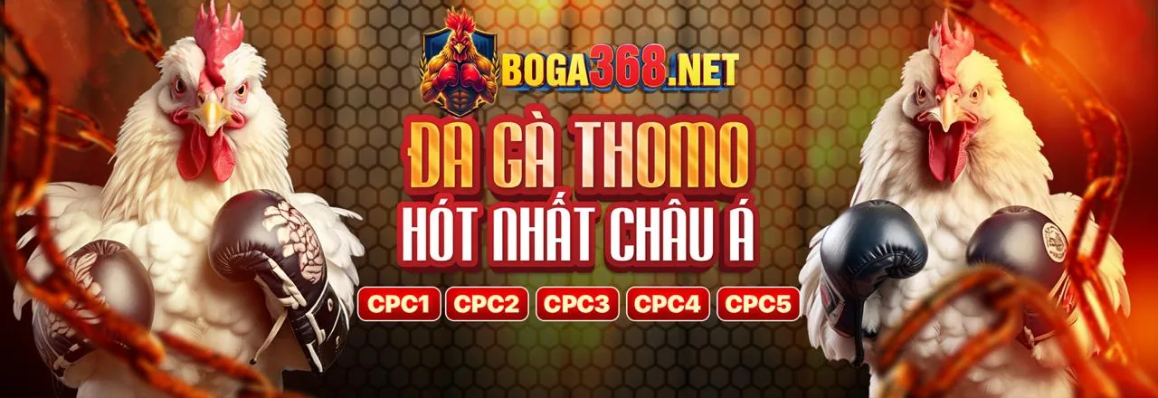 Đá gà trực tuyến HH88